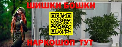 соль ск Бийск