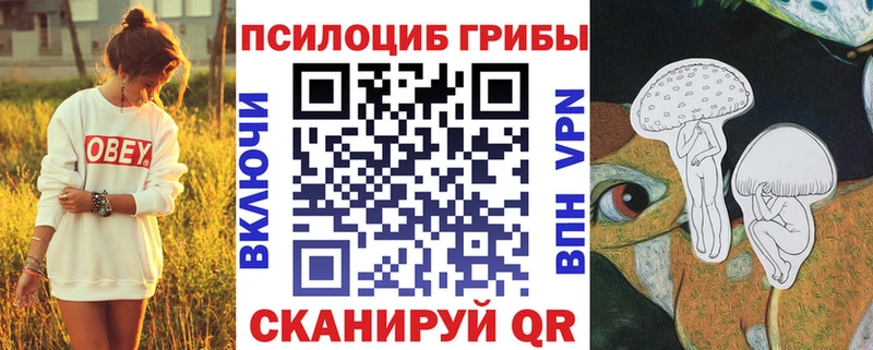 сайты даркнета официальный сайт  Выборг  Галлюциногенные грибы Psilocybine cubensis 