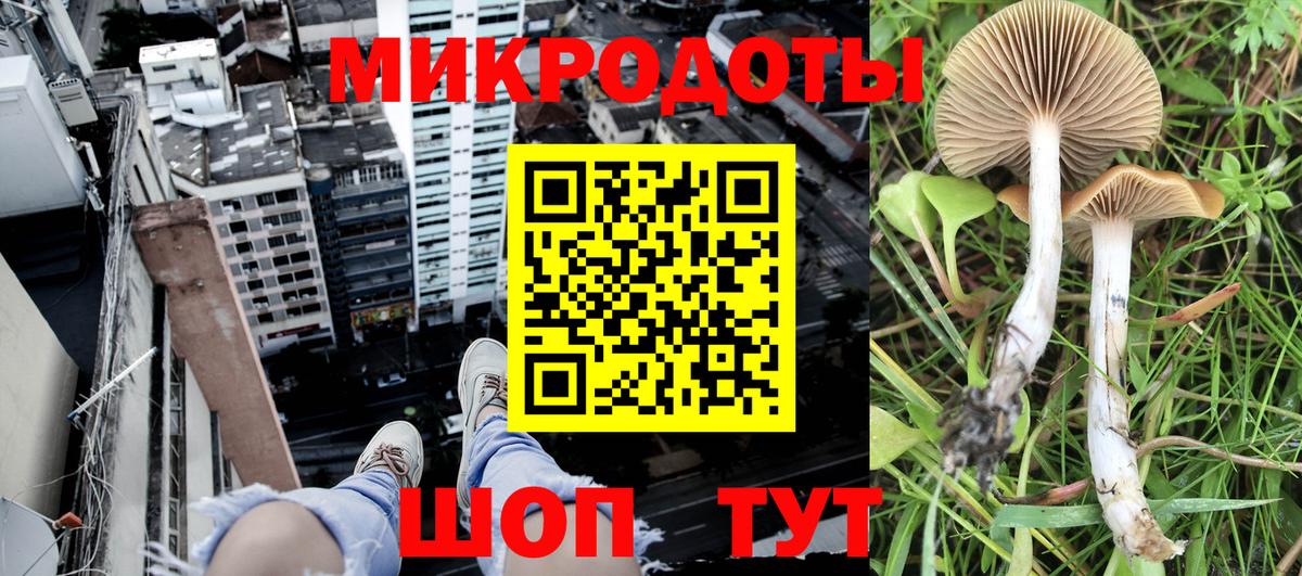 Псилоцибиновые грибы GOLDEN TEACHER  Выборг  Галлюциногенные грибы GOLDEN TEACHER 