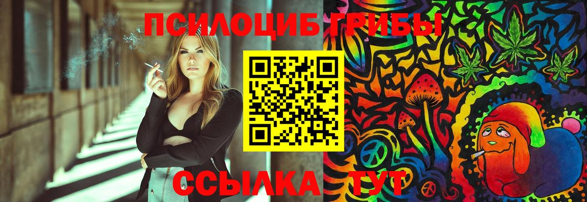 Псилоцибиновые грибы Psilocybine cubensis  как найти закладки  Выборг  Вход с VPN 