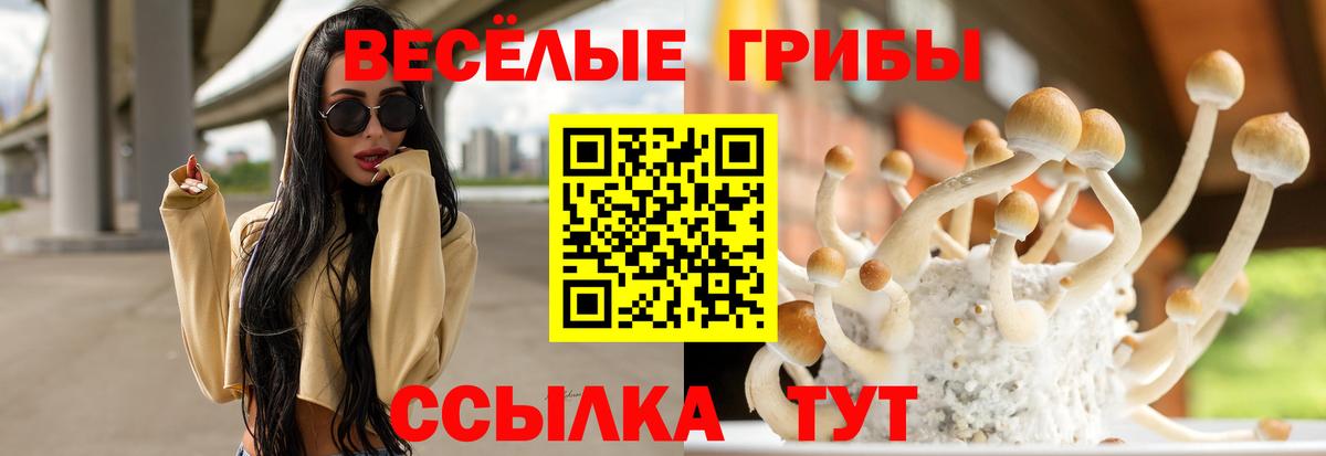 Хэш  Вейп ТГК  Выборг  Вход с VPN  A PVP  ЛЁД  Меф 